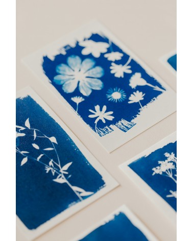 La box N°8 : Le Cyanotype