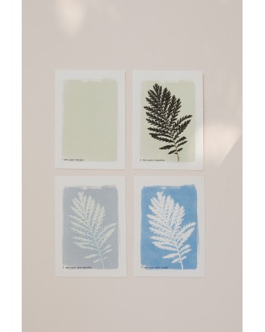 La box N°8 : Le Cyanotype