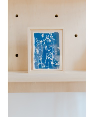 La box N°8 : Le Cyanotype