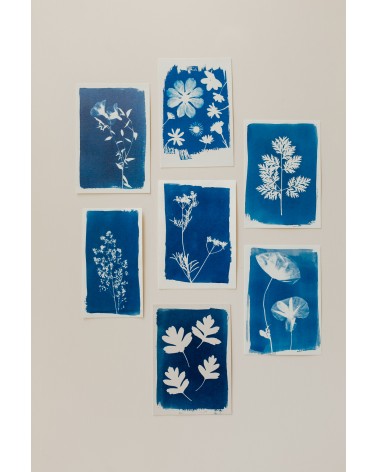 La box N°8 : Le Cyanotype