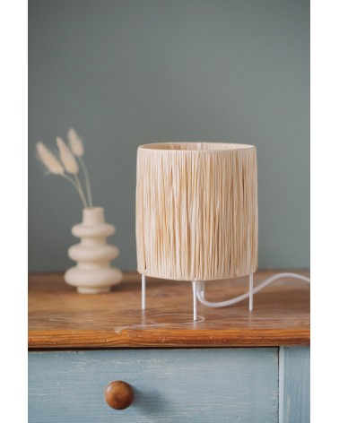 La box N°26 : La lampe Raphia