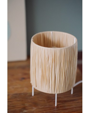 La box N°26 : La lampe Raphia
