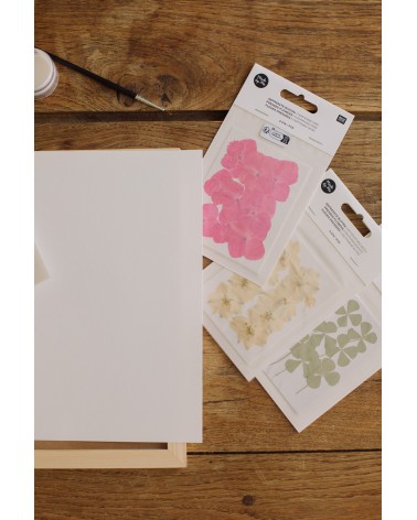 La box N°32 : Herbier de fleurs pressées sous cadre