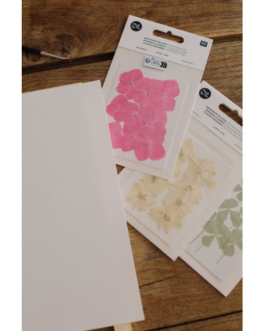 La box N°32 : Herbier de fleurs pressées sous cadre