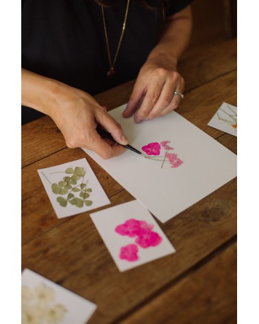 La box N°32 : Herbier de fleurs pressées sous cadre