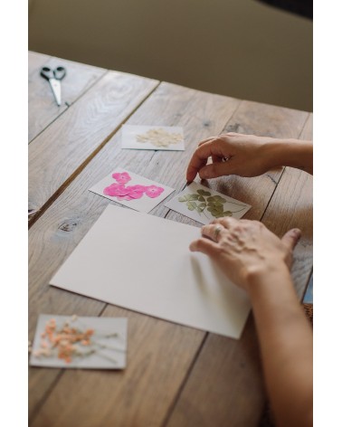 La box N°32 : Herbier de fleurs pressées sous cadre